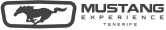mustang car rental