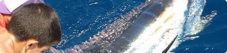 Shared Charter